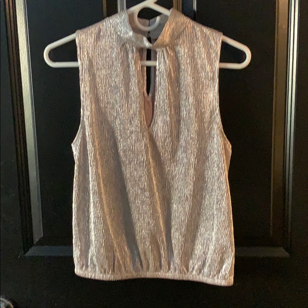 Express Metallic Top